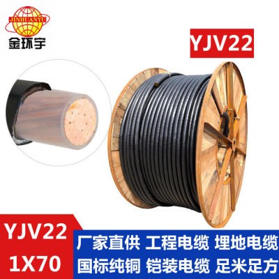 供應金環宇電線電纜 YJV22 1*70 深