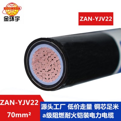 金環宇電纜 單芯電力電纜ZAN-YJV22-