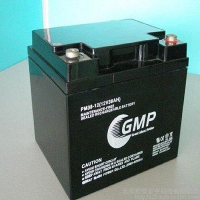 GMP蓄電池PM120-12 12V120AH閥控式