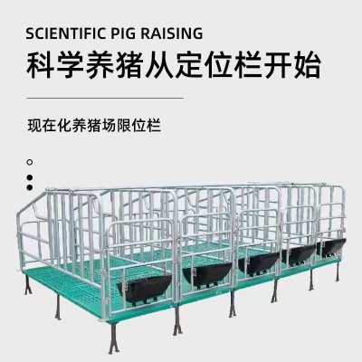 母豬復合定位欄 一組10個位可做連體